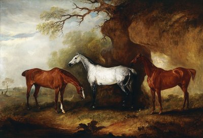 ロバートミデルトンビッダルフに所属する3人のハンター、 作： John E. Ferneley
