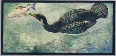1919年に出版されたGladys Davidsonによる「Helpers Without Hands」のイラスト、魚を追いかける鳥（カラーリソ） 作： John Edwin Noble