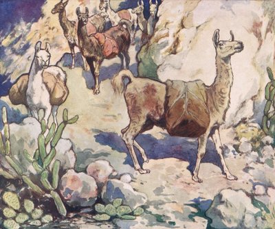山道のアルパカ、1919年に出版されたGladys Davidsonによる「Helpers Without Hands」のイラスト（カラーリソ） 作： John Edwin Noble