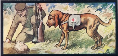 Ambuland ブラッドハウンド、1919 年に出版された Gladys Davidson 作「Helpers Without Hands」のイラスト（カラー リソ） 作： John Edwin Noble