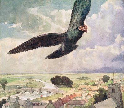 町の上を飛んでいる鳥、1919年に出版されたグラディス・デビッドソンの「ヘルパーズ・ウィズアウト・ハンズ」のイラスト（カラーリソ） 作： John Edwin Noble