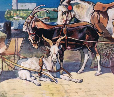 休んでいるヤギ、1919年に出版されたグラディス・デビッドソンの「ヘルパーズ・ウィズアウト・ハンズ」のイラスト（カラーリソ） 作： John Edwin Noble