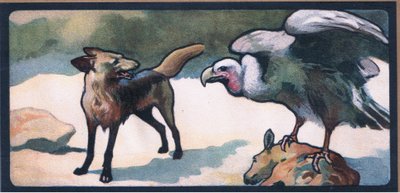 ジャッカルズ 作： John Edwin Noble