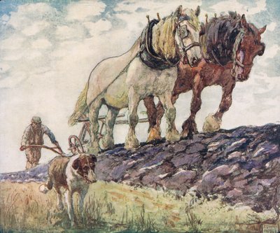1919年に出版されたGladys Davidsonによる「Helpers Without Hands」のイラスト（カラーリソ） 作： John Edwin Noble