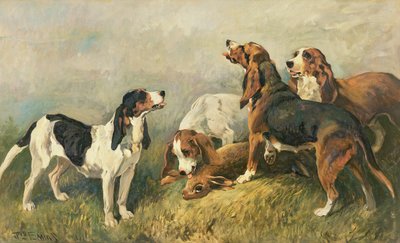 うさぎの猟犬 作： John Emms