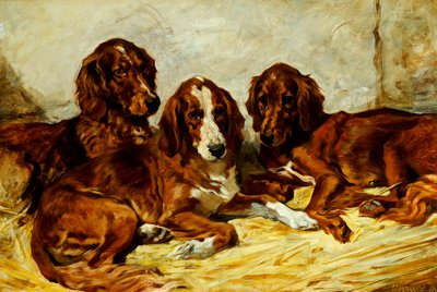 ショットと彼の友達-3人のアイルランドの赤と白のセッター、1876 作： John Emms