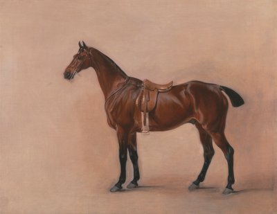 サドルベイハンターの研究 作： John Ferneley