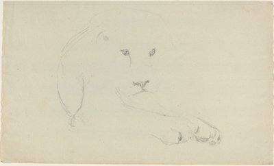 ライオン 作： John Flaxman