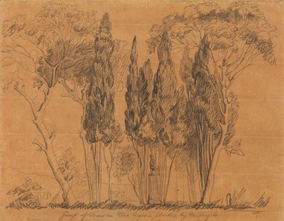 M. アンジェロが植えたヴィラ ネグローニの木 作： John Flaxman