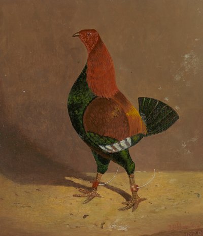 ファイティング コック: 黒胸のファイティング コック、左向き 作： John Frederick Herring