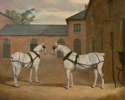 Grey carriage horses in the coachyard at Putteridge Bury, Hertfordshire   1433178   ja       japanese Successfully Translated  Original: Illustration from A Midsummer Nights Dream with fairies and a man with an asss head. Translat: Illustration from A Mids 作： John Frederick Herring