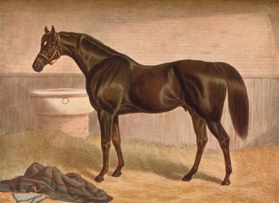 グラディエーター、19世紀、1903年 作： John Frederick Herring I