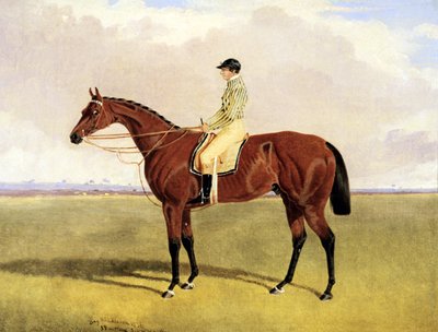 ロビンソンとの「ベイ・ミドルトン 作： John Frederick Herring Jnr
