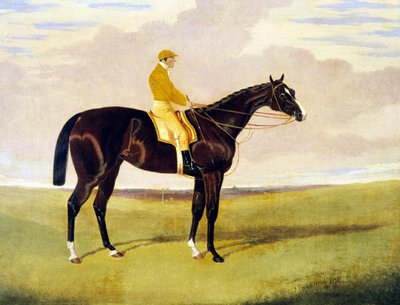 ライとの「クイーン・オブ・トランプス 作： John Frederick Herring Jnr