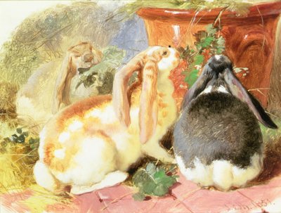 三匹の垂れ耳ウサギの研究 作： John Frederick Herring Senior