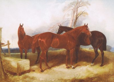 雑誌や本の出典不明の馬のグループ 作： John Frederick Herring Senior