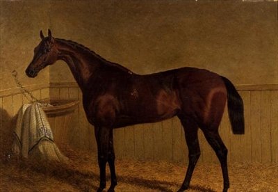 ルーズボックスに入っているベイの競走馬「ビースウィング 作： John Frederick Herring Senior