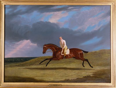 競馬場でギャロッピングをするジョッキーアップのあるベイ競走馬「コーデュロイ」 作： John Frederick Herring Senior