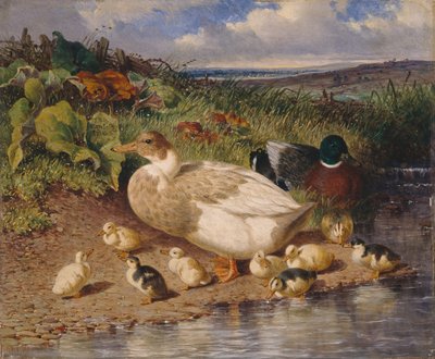 小川のほとりのカモ 作： John Frederick Herring Snr