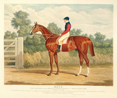 チャールズハント（1803-77）によって彫刻されたドンカスターでの偉大な聖レジェステークスの勝者、「エリス」、1836年。 S. und J. Fuller、1836（アクアチント） 作： John Frederick Herring Senior