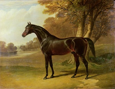 「グラウス」 作： John Frederick Herring Senior