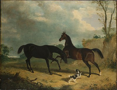 森の中でのハンターとスパニエル、1835 作： John Frederick Herring Senior
