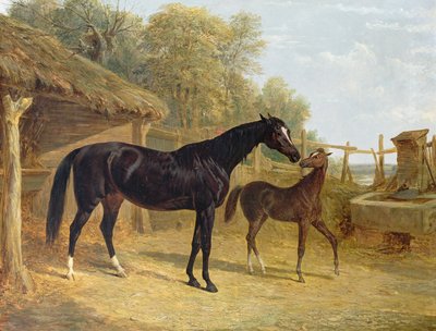JCCockerill Esq。の所有物であるレビティと子馬のエリザベス女王、ドーチェスター卿の所有物、1843年 作： John Frederick Herring Senior