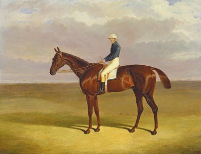 ジェームズロビンソンアップとの「マーグレイブ」、1833年 作： John Frederick Herring Senior