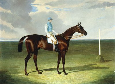 Mssrs。リズデールとガリーのセントジャイルズ、ウィリアムスコットのアップ、1832年 作： John Frederick Herring Senior