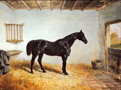 馬場に立つ種馬の肖像（油彩・パネル） 作： John Frederick Herring Senior