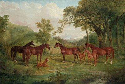 ストリートラムスタッド、雌馬と子馬、1836 作： John Frederick Herring Senior