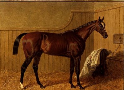 ルースボックスに入っているベイの競走馬「タッチストーン 作： John Frederick Herring Senior