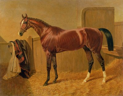 不明な画像 作： John Frederick Herring Senior