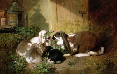 不明な画像 作： John Frederick Herring Senior