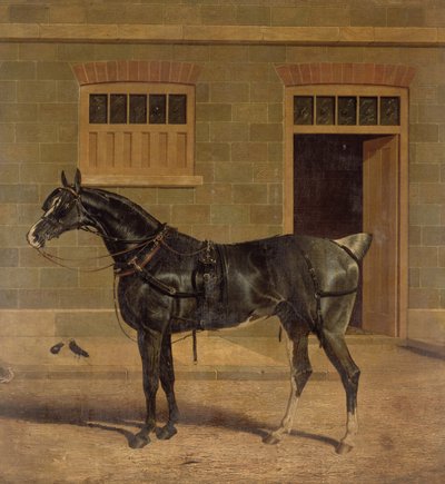 不明な画像 作： John Frederick Herring Senior