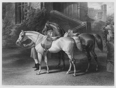 女王の馬（ロイヤル・コレクションの写真より）（エングレーヴィング 作： John Frederick Jr. Herring