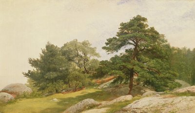 ビバリーコーストの樹木の研究 作： John Frederick Kensett