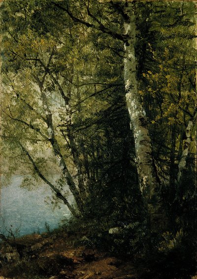  作： John Frederick Kensett