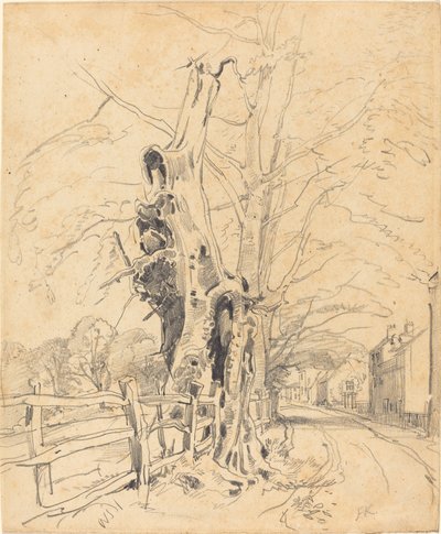 レール フェンスのそばの木 作： John Frederick Kensett