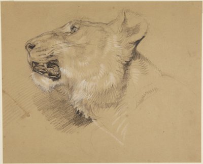  作： John Frederick Lewis