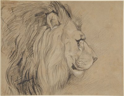  作： John Frederick Lewis