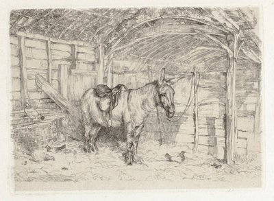  作： John Frederick Lewis