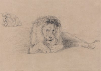 ライオンの習作と雌ライオンの頭の習作 作： John Frederick Lewis
