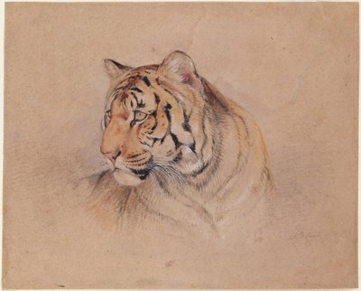  作： John Frederick Lewis