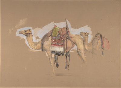 2 つのラクダ、カリフォルニア州。 1843年。 作： John Frederick Lewis
