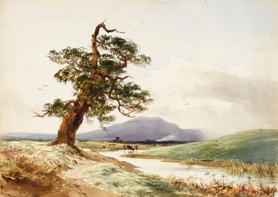 牛が水を飲んでいる川のそばの木と、その向こうの紫の丘の眺め。 作： John Frederick William Herschel