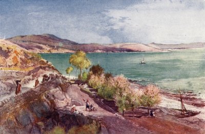 ティベリアから北を望むガリラヤ湖 作： John Fulleylove