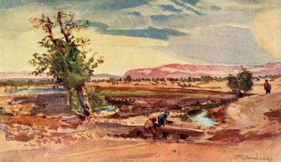エリシャの泉から流れる小川、1902年。 作： John Fulleylove