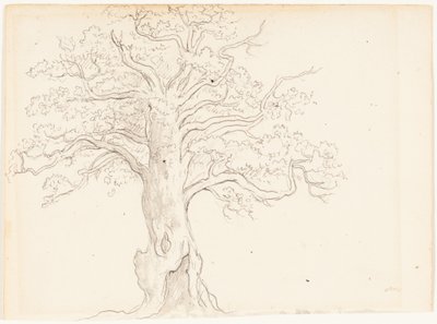  作： John Glover