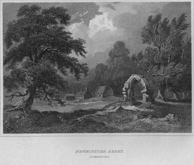 ニューミンスター寺院、ノーサンバーランド、1814 作： John Greig